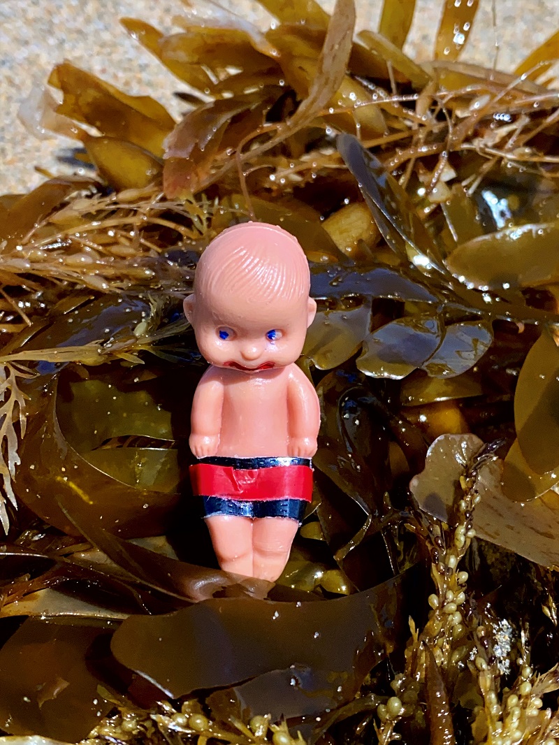 Brutus Baby and the Seashells 19